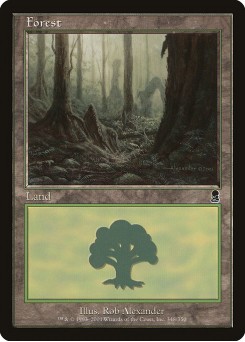 Floresta
