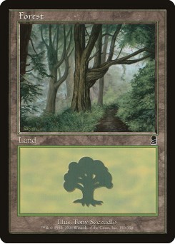 Floresta