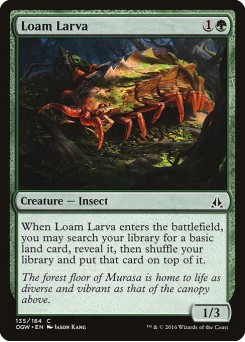 Larva da Marga
