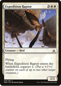 Raptor da Expedição