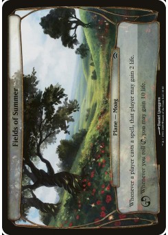 Fields of Summer
