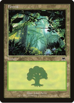 Floresta