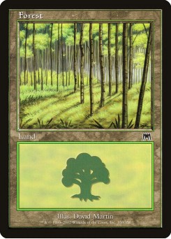Floresta