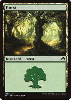 Floresta