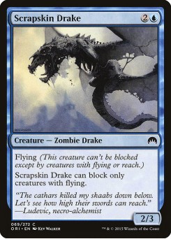 Dragonete Remendado