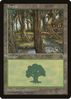 Floresta