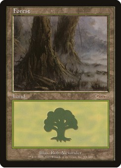 Forest