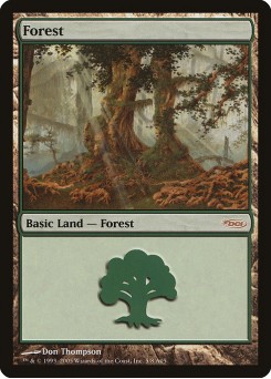 Forest