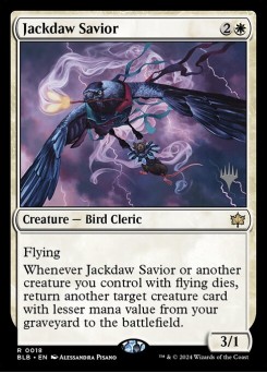 Jackdaw Savior