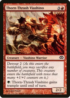 Thorn-Thrash Viashino