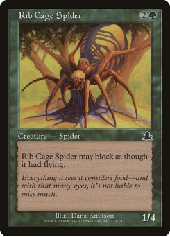 Aranha Torácica