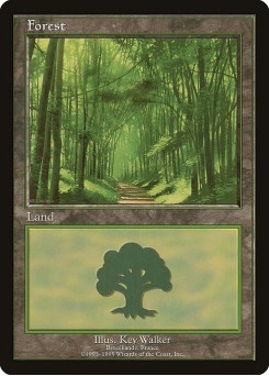 Forest