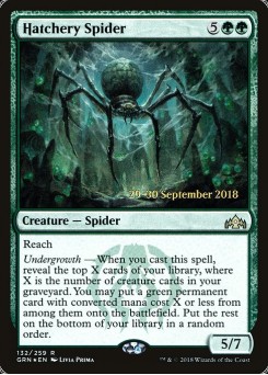 Hatchery Spider