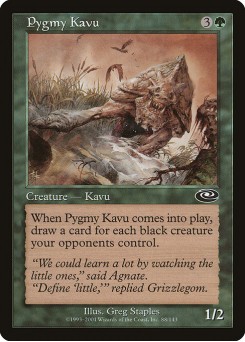 Kavu Pigmeu