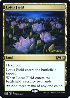 Lotus Field