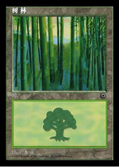 Forest