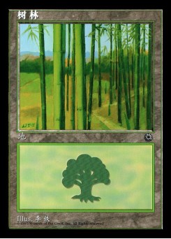 Forest