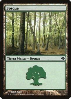 Forest