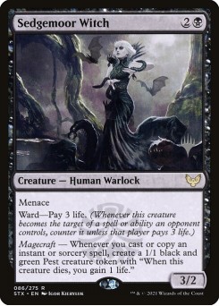 Sedgemoor Witch
