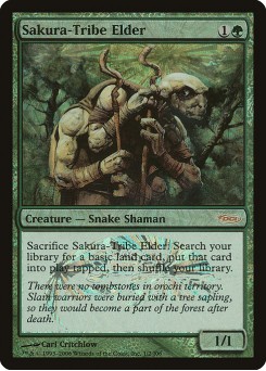 Sakura-Tribe Elder