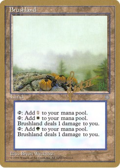 Brushland