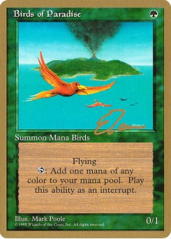 Birds of Paradise