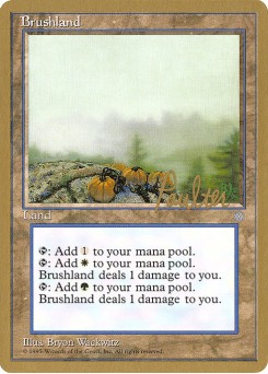 Brushland