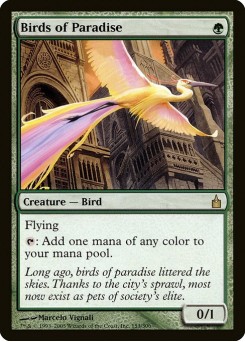 Aves do Paraíso