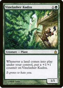 Videira Kudzu Flagelante
