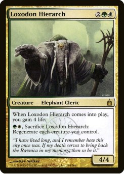 Hierarca Loxodonte