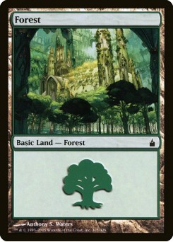 Floresta
