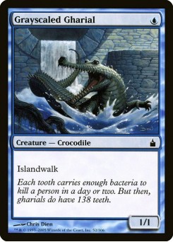 Gavial Cinzento