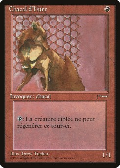 Hurr Jackal