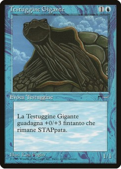Giant Tortoise