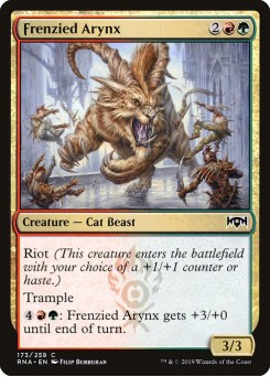 Arynx Frenético