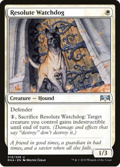 Cão de Guarda Resoluto