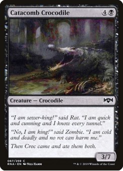 Crocodilo da Catacumba