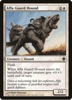 Sabujo de Guarda de Affa