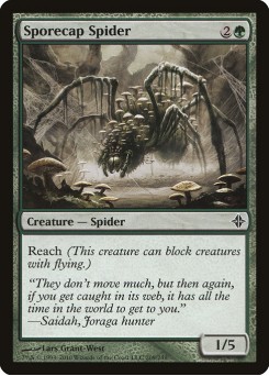 Aranha Fungosa