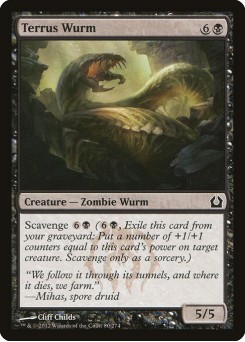 Vorme de Terrus