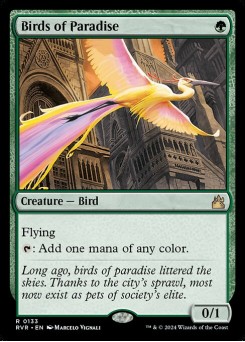 Aves do Paraíso