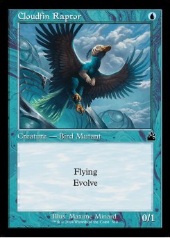 Raptor de Aerobarbatanas