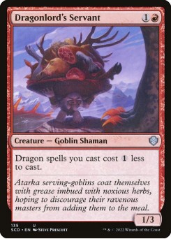Dragonlord's Servant