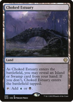 Choked Estuary