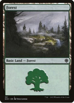 Forest