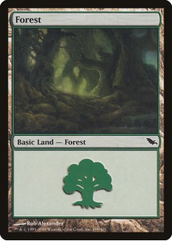 Floresta