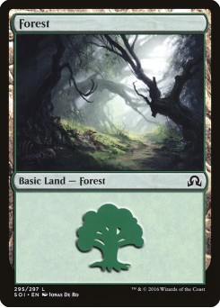 Floresta