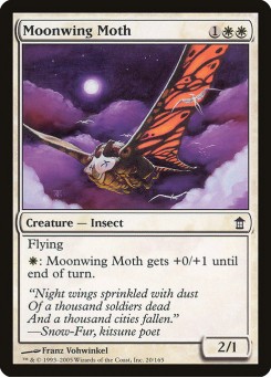 Mariposa Asa de Lua