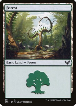 Floresta
