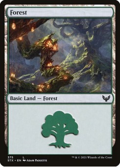 Floresta